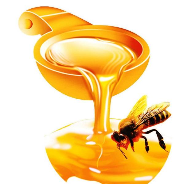 Tác dụng của mật ong đối với sức khỏe